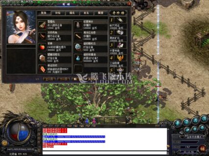 12月东升沉默 金币小极品三职业-带攻略-GOM引擎-玩吧资源站