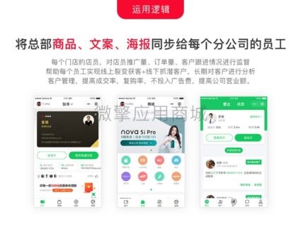 龙兵智能名片V5.99.79 小程序版本_带4个插件+前端_无错-玩吧资源站