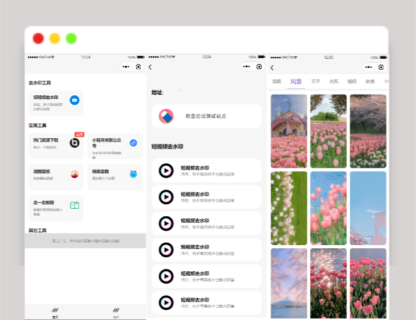 A1450多接口带头像挂件制作短视频去水印微信小程序源码下载-玩吧资源站