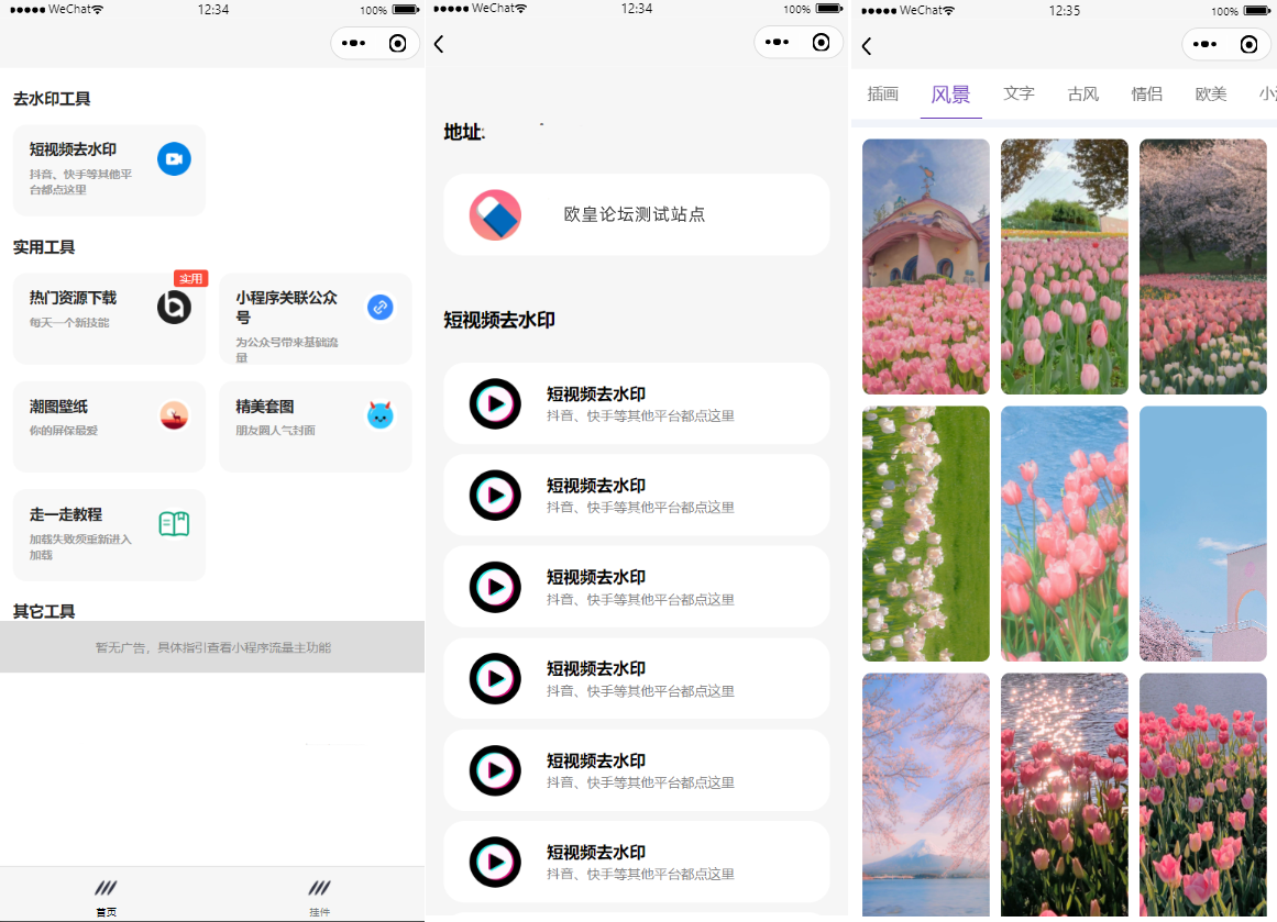 A1450多接口带头像挂件制作短视频去水印微信小程序源码下载