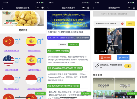 短视频去水印+全球手机验证码发放等组合功能小程序源码_支持多种流量主-玩吧资源站
