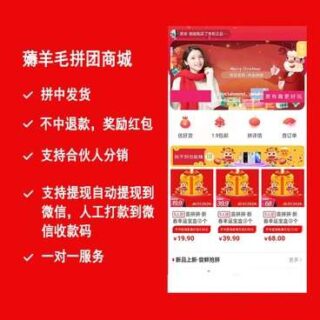 小程序 薅羊毛拼团商城2.2.8破解免授权+前端-玩吧资源站