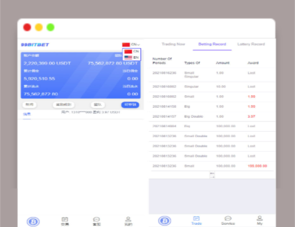 A1351【两套】双语言版虚拟币投资系统+USDT充值源码+出海源码英文版-玩吧资源站