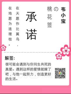 公众号源码 桃花签v1.0-玩吧资源站