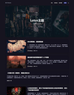 WordPress 暗黑极客自媒体资讯博客主题Lotus1.1-玩吧资源站