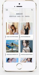 简约大气 图片美图网站/图片相册类网站源码 织梦模板 自适应手机版-玩吧资源站