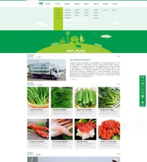 绿色 农业果蔬配送网站源码_蔬菜网站源码(带手机移动端)_织梦模板-玩吧资源站