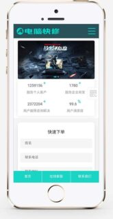 响应式蓝色HTML5 电脑修理公司/电脑维修店网站源码 织梦模板 自适应手机版-玩吧资源站