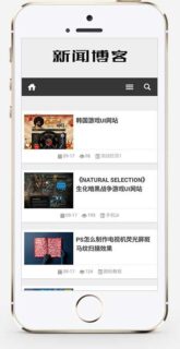 响应式 新闻资讯技术博客网站 游戏新闻网站源码 织梦模板 自适应手机版-玩吧资源站