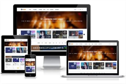 ripro日主题V8.9 ripro虚拟资源主题8.9 免授权开心版-玩吧资源站