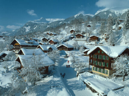 真实逼真的雪花飘落场景代码-玩吧资源站