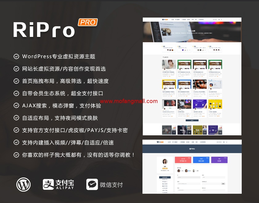 图片[1]-RiPro6.9.0主题完美去限制去后门版-玩吧资源站