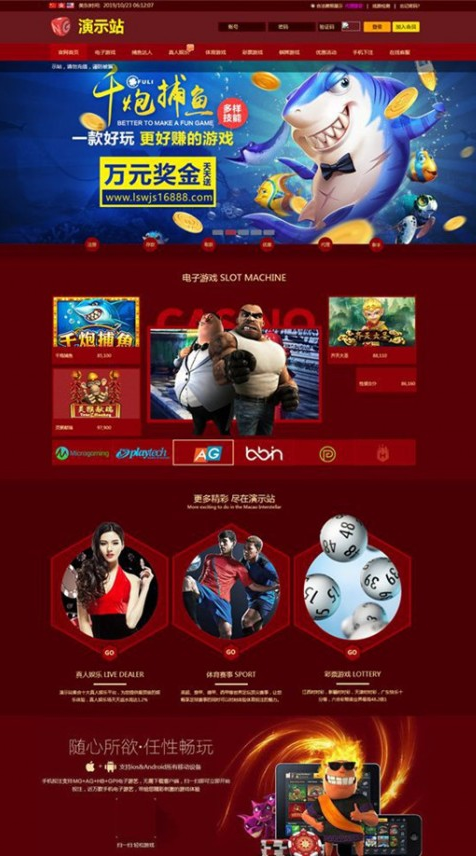 图片[1]-NG网站PHP程序+所有版本更新包+视频搭建教程-玩吧资源站