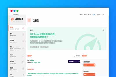 C288 wordpress插件/WP Rocket3.8.8和3.9.1双版本/火箭缓存插件免授权汉化版-玩吧资源站