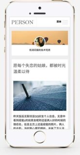 响应式 个人博客网站 随笔心情日记个人博客网站模板 织梦模板 自适应手机版-玩吧资源站