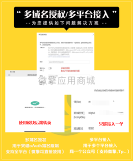 多域名授权基础版 1.2.2 多平台接入-玩吧资源站