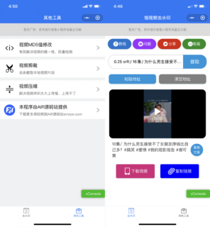 抖音快手短视频去水印小程序源码_自带接口-玩吧资源站