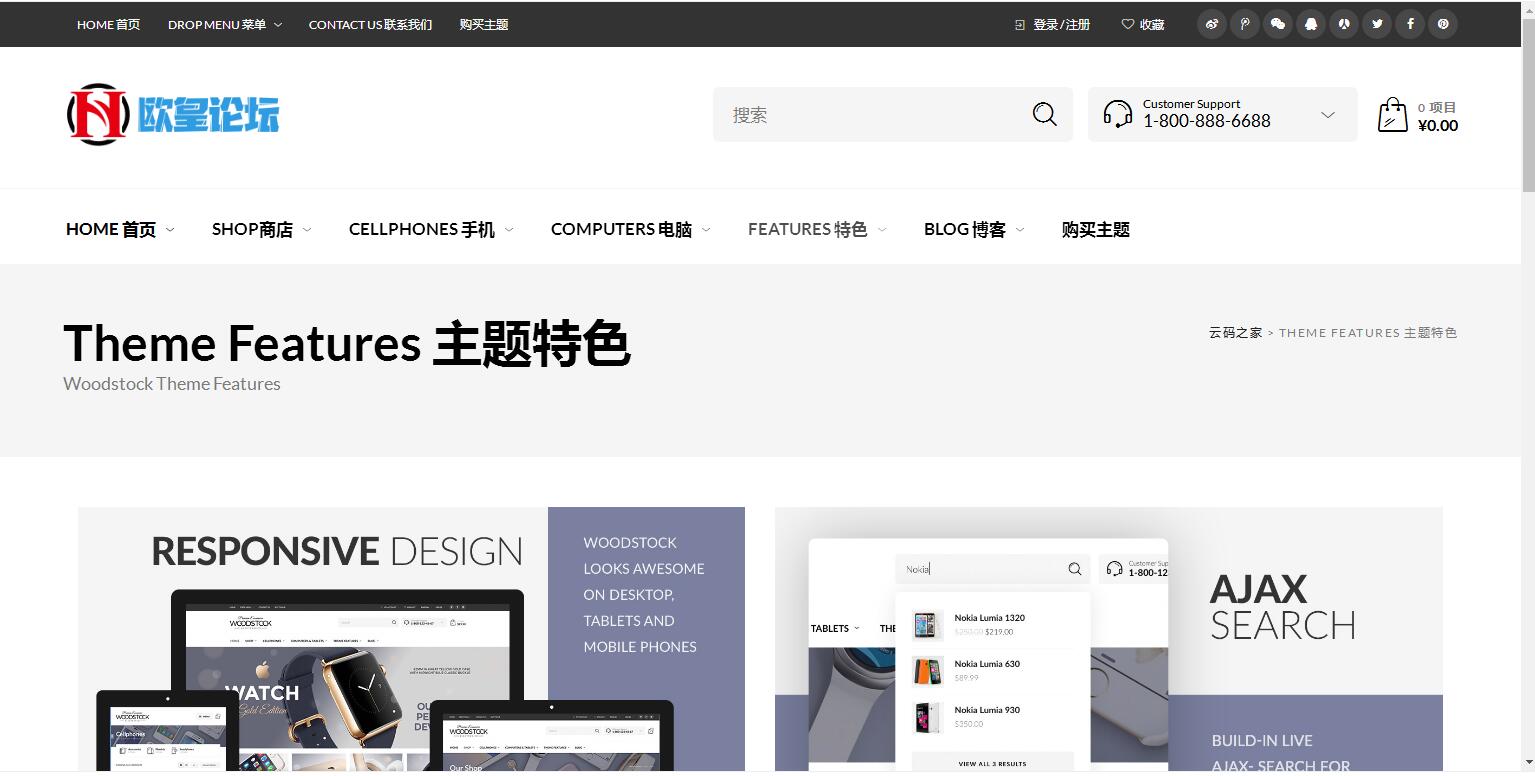 图片[4]-C255 wordpress主题_购物商城主题源码电子商务外贸网站汉化版-玩吧资源站