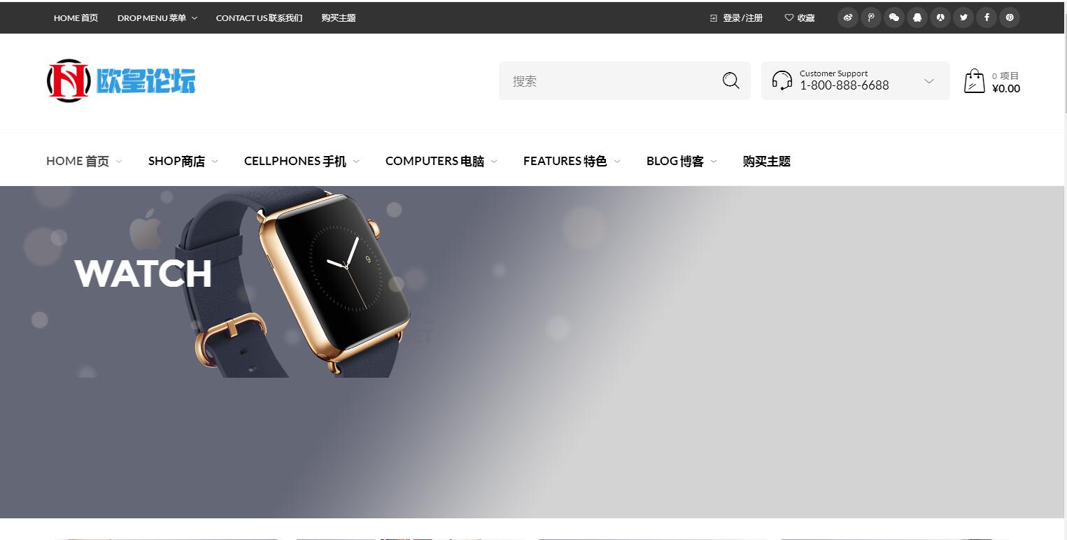图片[1]-C255 wordpress主题_购物商城主题源码电子商务外贸网站汉化版-玩吧资源站