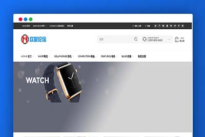 C255 wordpress主题_购物商城主题源码电子商务外贸网站汉化版-玩吧资源站