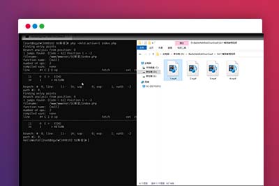 C276【技术分享】SG11详细解密视频教学-玩吧资源站