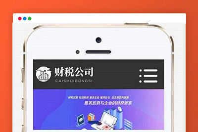 K390 高端大气财务会计代理记账财税公司网站源码 织梦dedecms模板 带手机版-玩吧资源站