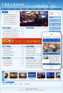 php电子商务协会网站源码_协会单位网站源码(带PC+手机端)-玩吧资源站