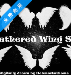 翅膀笔刷-玩吧资源站