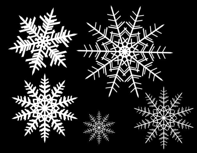 漂亮的手绘雪花图案Photoshop笔刷素材