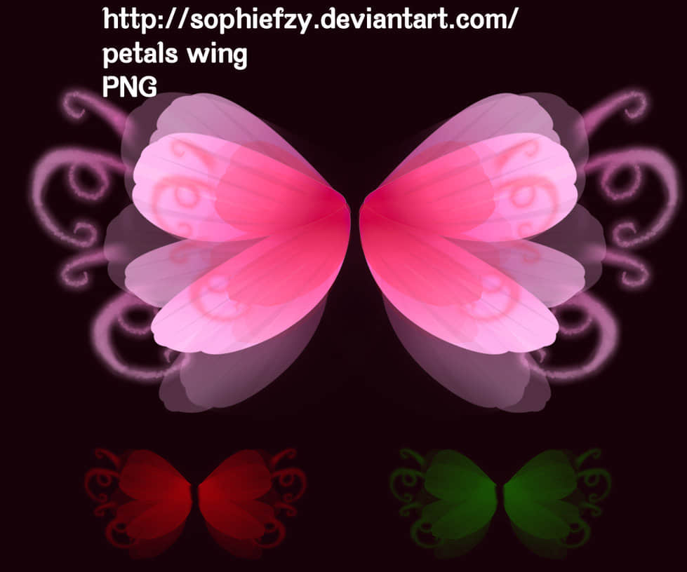 漂亮的花瓣翅膀Photoshop笔刷素材