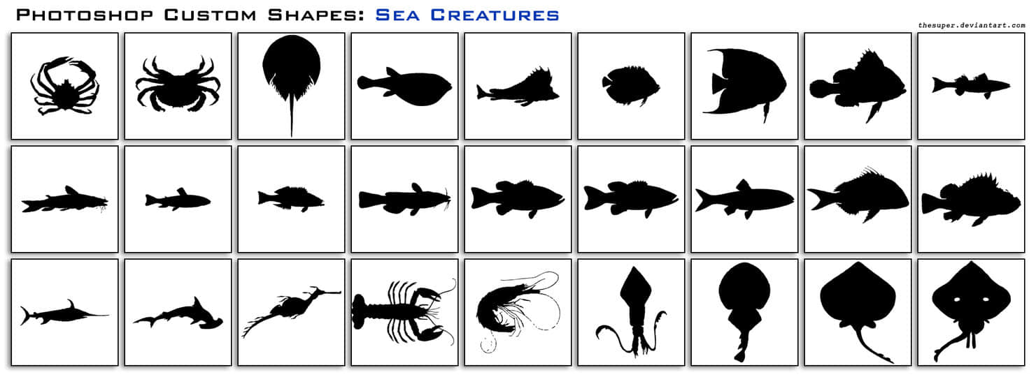 螃蟹、魔鬼鱼、深海鱼、龙虾等海洋生物PS填充素材