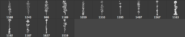 手绘植物鲜花、植物藤蔓图案photoshop笔刷素材