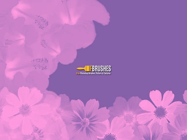 漂亮的鲜花花朵photoshop笔刷素材下载