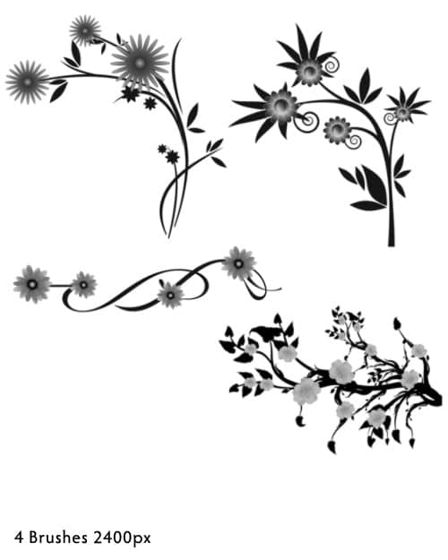 漂亮矢量植物鲜花、花纹图案photoshop笔刷素材