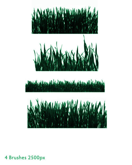 4种植物青草、草坪素材photoshop笔刷