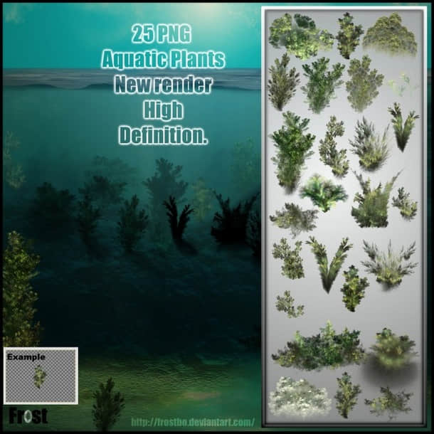 CG式海底水草图案素材PS笔刷
