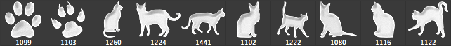 可爱的卡通猫咪photoshop笔刷素材