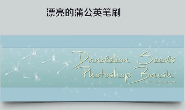 美轮美奂的蒲公英飘扬背景装饰photoshop笔刷素材