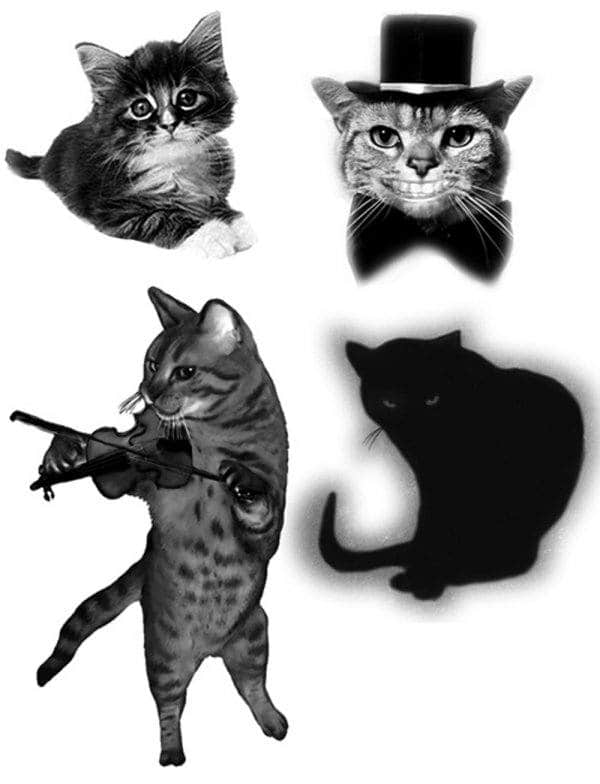 搞笑卖萌猫咪PS笔刷