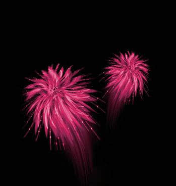 漂亮的手绘式礼花、烟花、烟火笔刷
