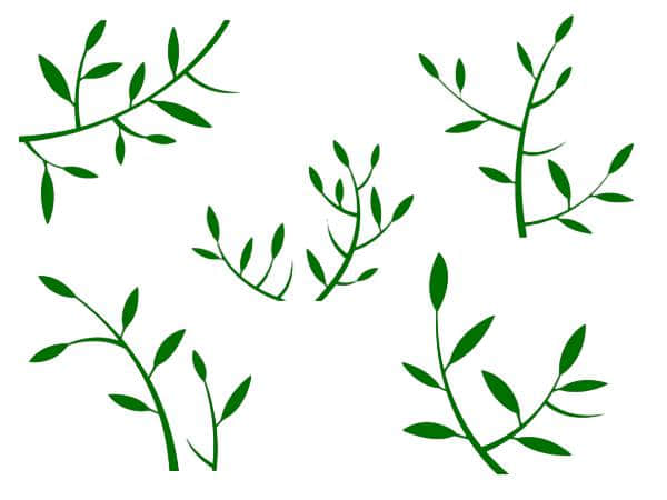 简单矢量树枝PS笔刷