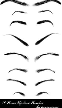人物化妆之眉毛PS笔刷