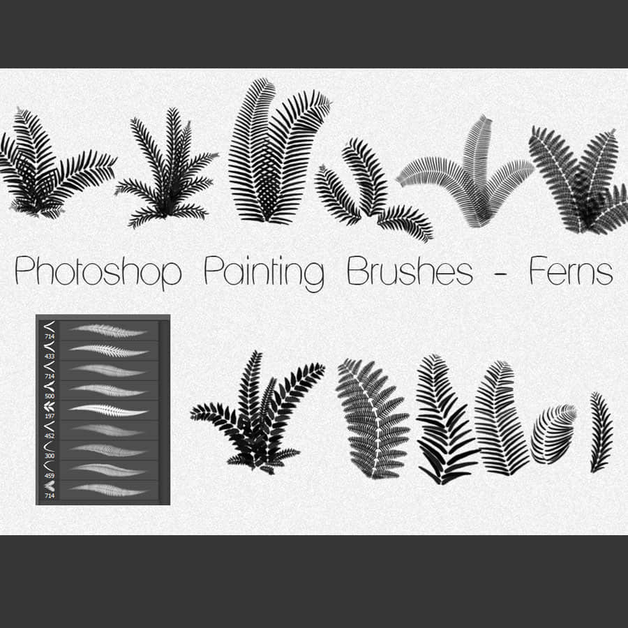 Photoshop蕨类植物素材笔刷下载