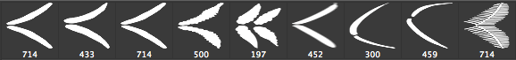 Photoshop蕨类植物素材笔刷下载