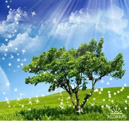 太阳光线和星光照射PS笔刷