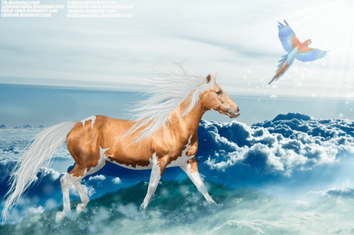 Photoshop CS5 光线照射笔刷