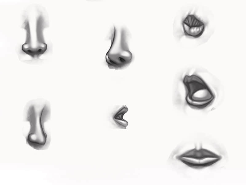 素描式鼻子嘴巴笔刷