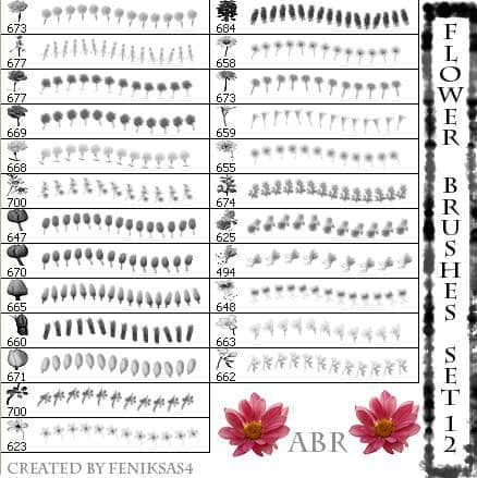 漂亮的真实鲜花花朵笔刷2