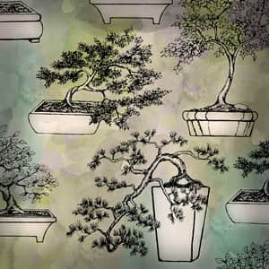 盆景盆栽笔刷