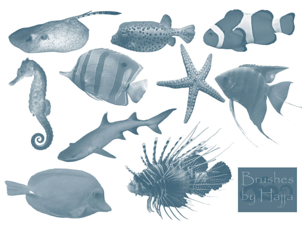 Photoshop奇特海洋生物笔刷